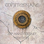 Whitesnake - Love Ain't No Stranger (Live)