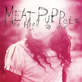 Meat Puppets - Station