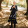 The President Sang Amazing Grace - Joan Baez