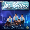 Los Krillos - Adiós Amor
