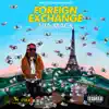 Foreign Exchange - Single album lyrics, reviews, download