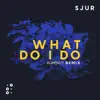 What Do I Do (Dunisco Remix) - Single album lyrics, reviews, download