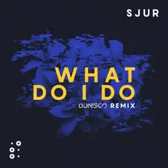 What Do I Do (Dunisco Remix) Song Lyrics