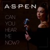 Can You Hear Me Now? - Single
