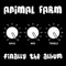 Stream of Life - Animal Farm lyrics