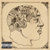 Phrenology artwork