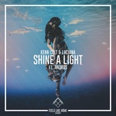 Shine a Light (feat. Andros) artwork