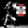 The Sensational Alex Harvey Band - Goodnight Irene