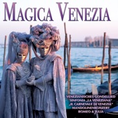 Sinfonia veneziana in D Major: III. Presto artwork