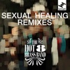 Sexual Healing Remixes