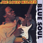 Joe Louis Walker - I'll Get to Heaven On My Own