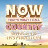 Vince Gill - Go Rest High On That Mountain
