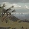 Carta do Destino (feat. Pedro Soares) - Brt MC lyrics