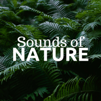 Nature Sounds Associated Artists - Sounds of Nature Music 2018 - Sounds of Nature Instrument Set artwork