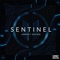 Sentinel artwork