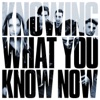 Knowing What You Know Now artwork