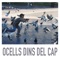 Ocells Dins Del Cap - Soni lyrics