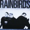 On the Balcony - Rainbirds lyrics