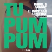 Tu Pum Pum (feat. El Capitaan & Sekuence) [DJ Boris Remix] artwork