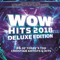 Various Artists - WOW Hits 2018 (Deluxe Edition) artwork