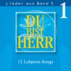 Du bist Herr - Lieder aus Band 5, Vol. 1