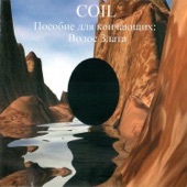 The Anal Staircase by Coil