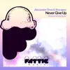 Never Give Up (Alexander Hristov Remix) - Single album lyrics, reviews, download