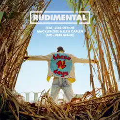 These Days (feat. Jess Glynne, Macklemore & Dan Caplen) [Mr Jukes Remix] - Single - Rudimental