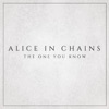 Alice In Chains - The One You Know