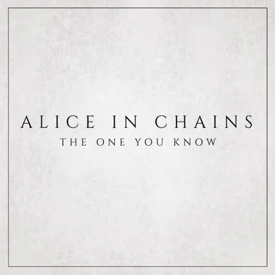 The One You Know - Single - Alice In Chains