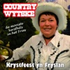 Krystfeest in Fryslan