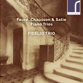 Piano Trio in D Minor, Op. 120: I. Allegro, ma non troppo artwork