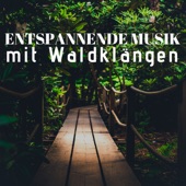 Entspannende Musik mit Waldklängen - Klaviermusìk Modern artwork