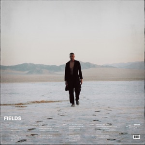 Fields - Single