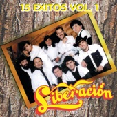 Liberación: 15 Éxitos Vol. 1 artwork