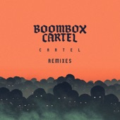 Cartel (Remixes) artwork