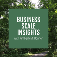 Business Scale Insights podcast