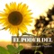 Flauta de Pan - Pensamento Positivo & Meditation Guru lyrics