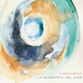 La Geometría del Aire artwork