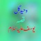 Qessa Yousaf, Pt. 4 (A.S.) [Part 4] - Waheed Gul lyrics