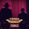 Vidinha Mais Ou Menos - Single