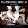 Electronic House, Vol. 8