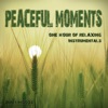 Peaceful Moments (One Hour of Relaxing Instrumentals)