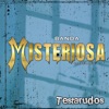 Testarudos - Single