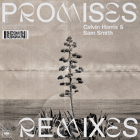 Calvin Harris, Sam Smith - Promises (Remixes) artwork