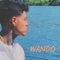 Wando - Keem Isaiah lyrics