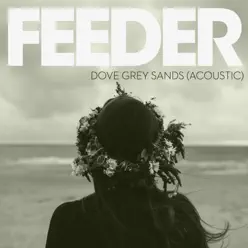 Dove Grey Sands (Acoustic Version) - Single - Feeder