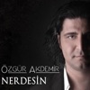 Nerdesin - EP