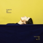 Taken By Trees - Vibrant Colors