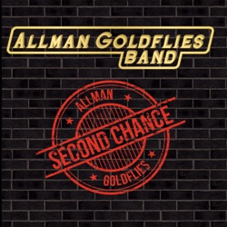 Allman Goldflies Band - You Gave Me. Love